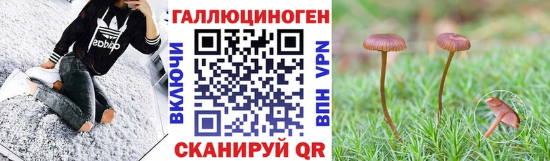 Галлюциногенные грибы прущие грибы  наркота  Белогорск 