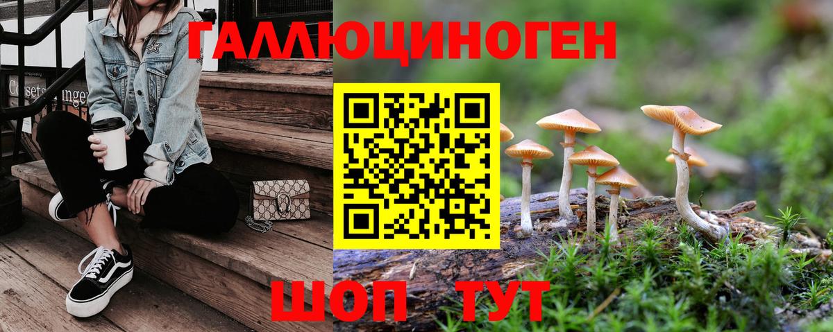 Белогорск  где купить наркоту  Вход с VPN  Псилоцибиновые грибы мицелий 